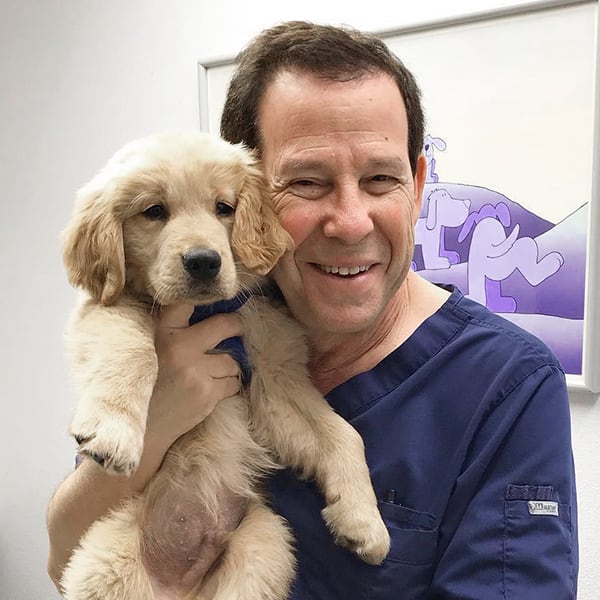 Dr. Jeffrey Marks, Los Angeles Veterinarian