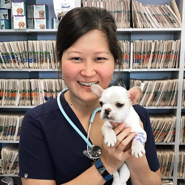 Dr. Joanna Choi, Los Angeles Veterinarian