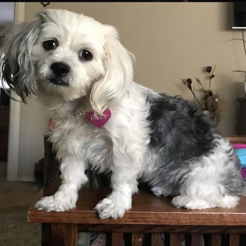 Sandy, Los Angeles CSR specialist